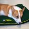Show in main carousel: Pets First NFL Football Pillow Dog Bed, Green Bay Packers slide 3 of 8