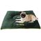 Show in main carousel: Pets First NFL Football Pillow Dog Bed, Green Bay Packers slide 4 of 8