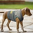 Show in main carousel: Pets First NFL Green Bay Packers Dog & Cat Soothing Solution Vest, X-Small slide 5 of 5