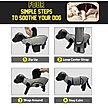 Show in main carousel: Pets First NFL Kansas City Chiefs Dog & Cat Soothing Solution Vest, X-Small slide 3 of 5
