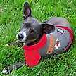 Show in main carousel: Pets First NFL Kansas City Chiefs Hoodie Dog & Cat Tee Shirt, Small slide 3 of 6