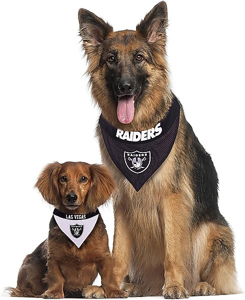 Show full view: Pets First NFL Las Vegas Raiders Reversible Dog & Cat Bandana, XX-Large slide 5 of 5