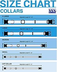 Pets First NFL Nylon Dog Collar, New England Patriots, Medium: 12 to 18-in neck, 5/8-in wide slide 2 of 4