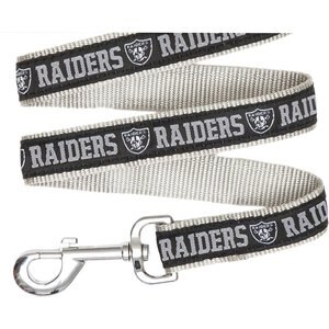 Pets First NFL Nylon Dog Leash, Las Vegas Raiders, Large: 6-ft long, 1-in wide