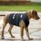 Show in main carousel: Pets First NFL Philadelphia Eagles Dog & Cat Soothing Solution Vest, Small slide 5 of 5