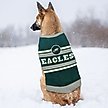 Show in main carousel: Pets First NFL Philadelphia Eagles Dog & Cat Sweater, X-Small slide 4 of 6