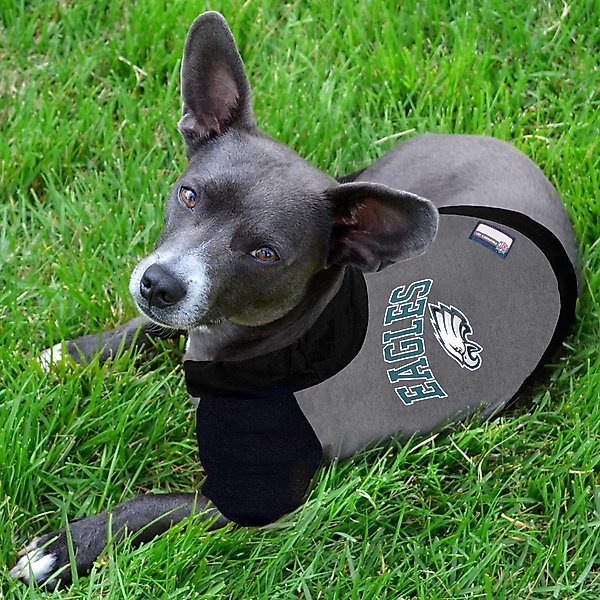Show full view: Pets First NFL Philadelphia Eagles Hoodie Dog & Cat Tee Shirt, Small slide 3 of 6