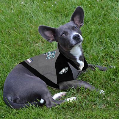 Show full view: Pets First NFL Philadelphia Eagles Hoodie Dog & Cat Tee Shirt, X-Small slide 4 of 6