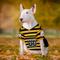 Show in main carousel: Pets First NFL Pittsburgh Steelers Bumble Bee Throwback Dog & Cat Jersey, Large slide 5 of 6