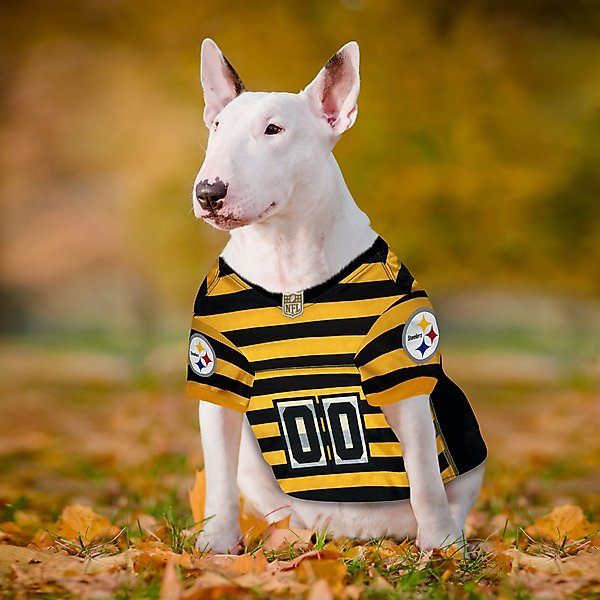 Show full view: Pets First NFL Pittsburgh Steelers Bumble Bee Throwback Dog & Cat Jersey, Medium slide 5 of 6