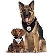 Show in main carousel: Pets First NFL Pittsburgh Steelers Reversible Dog & Cat Bandana, XX-Large slide 5 of 5