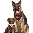 Show in main carousel: Pets First NFL Reversible Dog & Cat Bandana, Cleveland Browns, Small/Medium slide 4 of 6