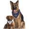 Show in main carousel: Pets First NFL Reversible Dog & Cat Bandana, Dallas Cowboys, Small/Medium slide 4 of 6