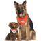 Show in main carousel: Pets First NFL Reversible Dog & Cat Bandana, Denver Broncos, Small/Medium slide 4 of 6