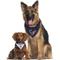 Show in main carousel: Pets First NFL Reversible Dog & Cat Bandana, Houston Texans, Large/X-Large slide 4 of 6