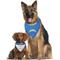 Show in main carousel: Pets First NFL Reversible Dog & Cat Bandana, Los Angeles Chargers, Small/Medium slide 4 of 6
