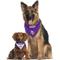 Show in main carousel: Pets First NFL Reversible Dog & Cat Bandana, Minnesota Vikings, Small/Medium slide 5 of 7