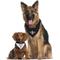 Show in main carousel: Pets First NFL Reversible Dog & Cat Bandana, New Orleans Saints, Small/Medium slide 5 of 7