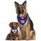 Show in main carousel: Pets First NFL Reversible Dog & Cat Bandana, New York Giants, Small/Medium slide 5 of 8