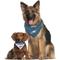 Show in main carousel: Pets First NFL Reversible Dog & Cat Bandana, Philadelphia Eagles, Large/X-Large slide 5 of 8