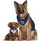 Show in main carousel: Pets First NFL Reversible Dog & Cat Bandana, Tennessee Titans, Large/X-Large slide 5 of 8