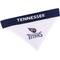 Show in main carousel: Pets First NFL Reversible Dog & Cat Bandana, Tennessee Titans, Small/Medium slide 5 of 7