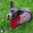 Show in main carousel: Pets First NFL San Francisco 49Ers Hoodie Dog & Cat Tee Shirt, Large slide 3 of 6