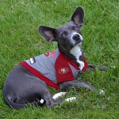 Show full view: Pets First NFL San Francisco 49Ers Hoodie Dog & Cat Tee Shirt, Medium slide 4 of 6