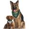 Show in main carousel: Pets First NHL Dallas Stars Reversible Dog & Cat Bandana, Large/X-Large slide 5 of 6