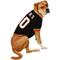 Show in main carousel: Pets First NHL Dog & Cat Jersey, Anaheim Ducks, X-Large slide 4 of 8