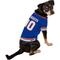 Show in main carousel: Pets First NHL Dog & Cat Jersey, New York Rangers, XX-Large slide 3 of 6