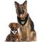Show in main carousel: Pets First NHL Pittsburgh Penguins Reversible Dog & Cat Bandana, Large/X-Large slide 6 of 6