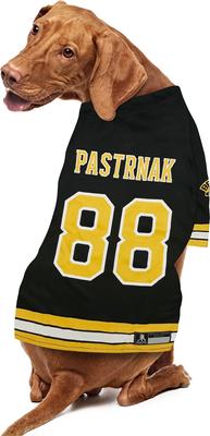 Show full view: Pets First NHL Player Dog Jersey, Large, David Pastrnak slide 5 of 5