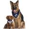 Show in main carousel: Pets First NHL Tampa Bay Lightning Reversible Dog & Cat Bandana, Small/Medium slide 5 of 5