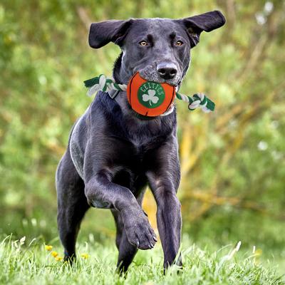 Show full view: Pets First NBA Basketball Tough Squeaky Plush Dog Chew Toy, Boston Celtics slide 2 of 6