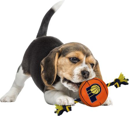 Show full view: Pets First NBA Basketball Tough Squeaky Plush Dog Chew Toy, Indiana Pacers slide 4 of 6