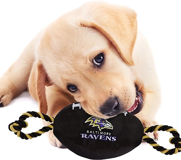 Show full view: Pets First Nylon Football Tough Squeaky Dog Chew Toy, Baltimore Ravens slide 3 of 6