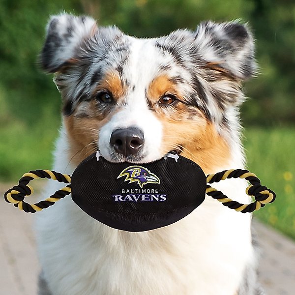Show full view: Pets First Nylon Football Tough Squeaky Dog Chew Toy, Baltimore Ravens slide 4 of 6