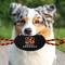 Show in main carousel: Pets First Nylon Football Tough Squeaky Dog Chew Toy, Cincinnati Bengals slide 5 of 7