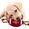 Show in main carousel: Pets First Nylon Football Tough Squeaky Dog Chew Toy, Iowa State slide 4 of 7