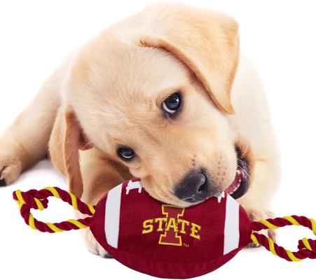 Show full view: Pets First Nylon Football Tough Squeaky Dog Chew Toy, Iowa State slide 4 of 7