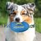 Show in main carousel: Pets First Nylon Football Tough Squeaky Dog Chew Toy, Los Angeles Chargers slide 5 of 7