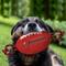 Show in main carousel: Pets First Nylon Football Tough Squeaky Dog Chew Toy, Tampa Bay Buccaneers slide 3 of 6