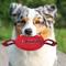 Show in main carousel: Pets First Nylon Football Tough Squeaky Dog Chew Toy, Tampa Bay Buccaneers slide 4 of 6
