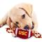 Show in main carousel: Pets First Nylon Football Tough Squeaky Dog Chew Toy, USC slide 4 of 7