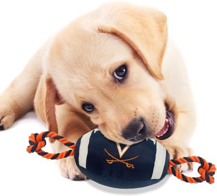 Show full view: Pets First Nylon Football Tough Squeaky Dog Chew Toy, Virginia N slide 3 of 6