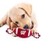 Show in main carousel: Pets First Nylon Football Tough Squeaky Dog Chew Toy, Wisconsin slide 3 of 6