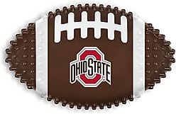 Pets First Ohio State Hard Nylon Football Dog Chew Toy, Brown