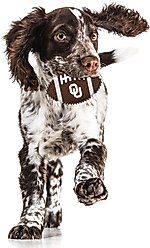 Pets First Oklahoma Hard Nylon Football Dog Chew Toy, Brown slide 2 of 5
