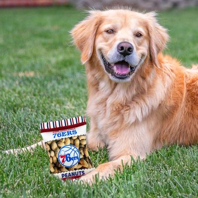 Show full view: Pets First Peanut Bag Squeaky Dog Chew Toy, 76ers slide 4 of 6